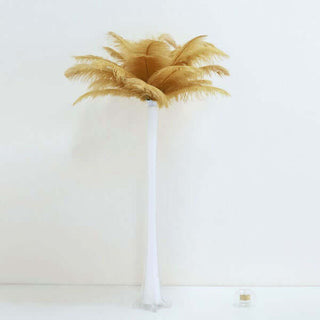 Create Stunning Fashion and Home Decor with Real Ostrich Feathers Create Stunning Fashion and Home Decor with Real Ostrich Feathers