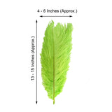12 Pack | 13-15inch Green Natural Plume Real Ostrich Feathers, DIY Centerpiece Fillers