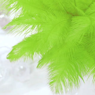Unleash Your Creativity with Green Natural Plume Feathers
