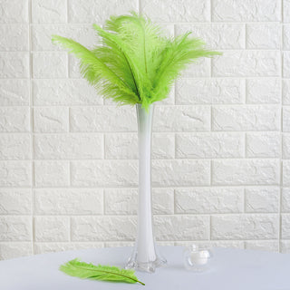 Add a Touch of Vibrant Green with Real Ostrich Feathers