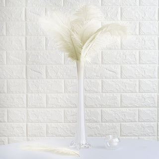 Elegant Ivory Natural Plume Ostrich Feathers for DIY Centerpiece Fillers