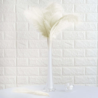 Elegant Ivory Natural Plume Ostrich Feathers for DIY Centerpiece Fillers Elegant Ivory Natural Plume Ostrich Feathers for DIY Centerpiece Fillers