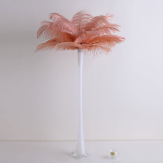 Add Elegance to Your Event Decor with Mauve Natural Plume Real Ostrich Feathers