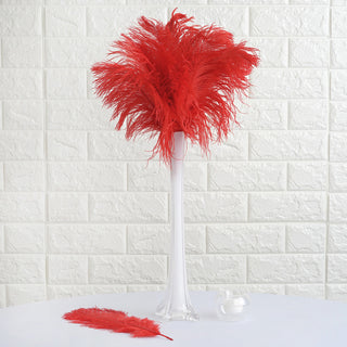 Add Vibrant Elegance to Your Décor with 12 Pack | 13"-15" Red Natural Plume Ostrich Feathers