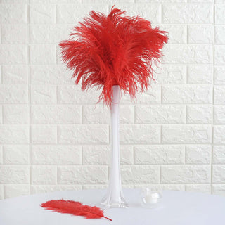 Add Vibrant Elegance to Your Décor with 12 Pack | 13"-15" Red Natural Plume Ostrich Feathers Add Vibrant Elegance to Your Décor with 12 Pack | 13"-15" Red Natural Plume Ostrich Feathers
