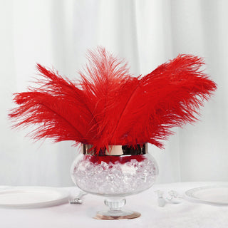 Red Natural Plume Ostrich Feathers: The Perfect Choice for DIY Event Decor