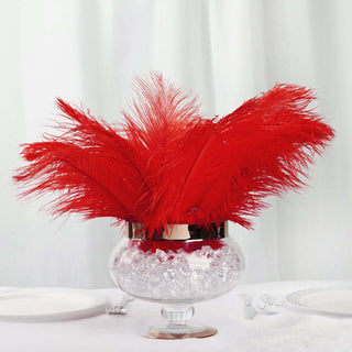 Red Natural Plume Ostrich Feathers: The Perfect Choice for DIY Event Decor Red Natural Plume Ostrich Feathers: The Perfect Choice for DIY Event Decor