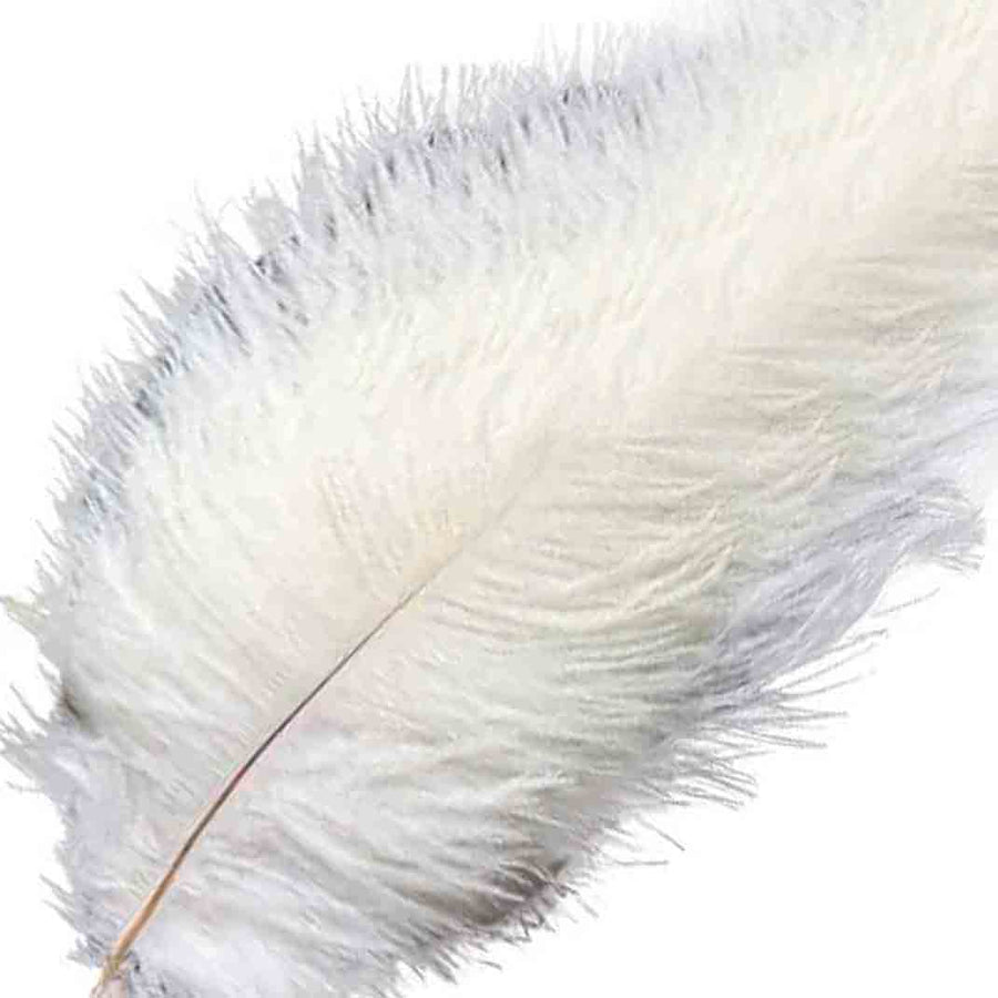 12 Pack | 13inch - 15inch White Natural Plume Real Ostrich Feathers#whtbkgd
