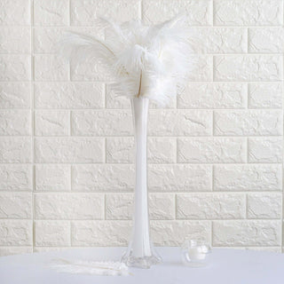 The Beauty of White Natural Plume Ostrich Feathers The Beauty of White Natural Plume Ostrich Feathers