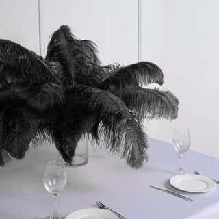 Black Natural Plume Ostrich Feathers Centerpiece Filler - 12 Pack Black Natural Plume Ostrich Feathers Centerpiece Filler - 12 Pack
