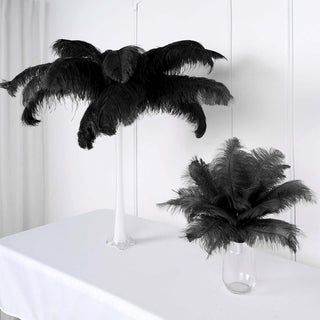 Black Natural Plume Ostrich Feathers for Exquisite Event Decor Black Natural Plume Ostrich Feathers for Exquisite Event Decor