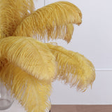 Set of 12 | 24inch - 26inch Gold Natural Plume Ostrich Feathers Centerpiece#whtbkgd