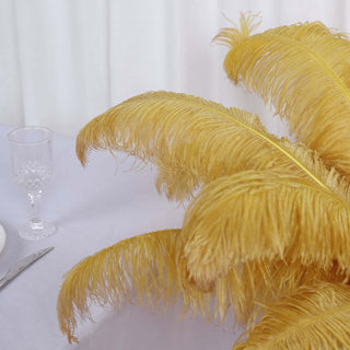 Vibrant and Versatile Vase Filler Feathers Vibrant and Versatile Vase Filler Feathers