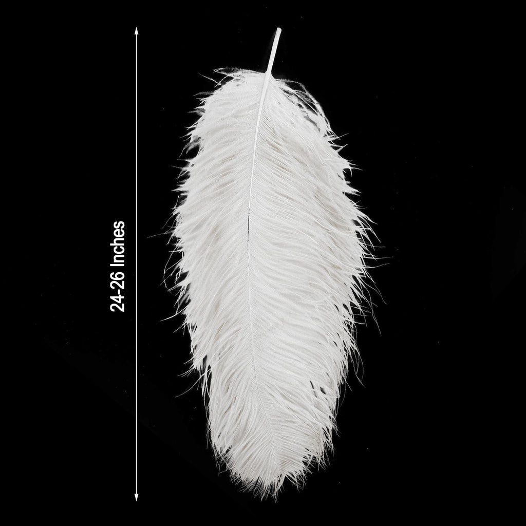 Ragnify Pack of 24 Natural White Ostrich Feathers 10-12 Inches with 24