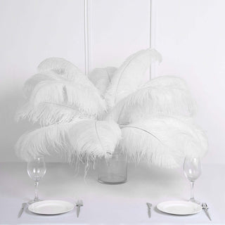Versatile and Stunning White Natural Plume Ostrich Feathers Versatile and Stunning White Natural Plume Ostrich Feathers