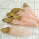 30 Pack | Metallic Gold Dipped Blush Real Goose Feathers | Craft Feathers for Party Decoration