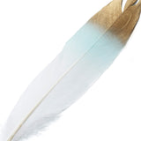 30 Pack - Metallic Gold Tip Dual Tone Real Goose Feathers - Craft Feathers for Party Decoration - Mint - White#whtbkgd