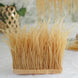 39" Gold Real Ostrich Feather Fringe Trims With Satin Ribbon Tape