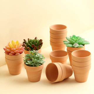 Natural Terracotta (Rust) Pot for Small Plants - 24 Pack