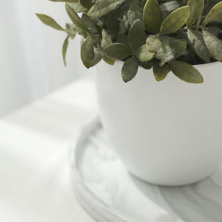 Versatile Indoor Plant Pot for Stylish Home Decor