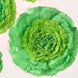 6 Multi Size Pack | Carnation Mint Green Dual Tone 3D Wall Flowers Giant Tissue Paper Flowers - 12",16",20"#whtbkgd