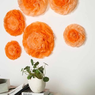 Create a Captivating Coral Orange Oasis