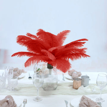 12 Pack 13"-15" Red Natural Plume Real Ostrich Feathers, DIY Centerpiece Fillers