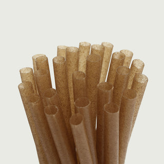Biodegradable Sugarcane Straws for a Sustainable Lifestyle