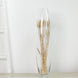 31 inches Tall Tapered Cylinder Glass Vase | Clear Floor Vase Centerpiece