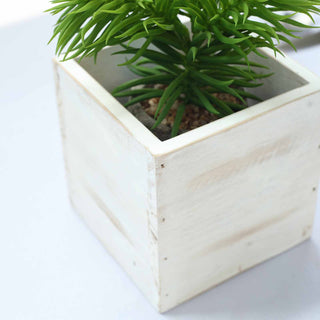 Sturdy and Environmentally Friendly Whitewash Square Wood Planter Box Set