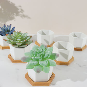 6 Pack 3" White Geometric Hexagon Ceramic Planter Pots, Bamboo Tray Base w Drainage Hole, Cactus and Succulent Planters With Removable Bottom