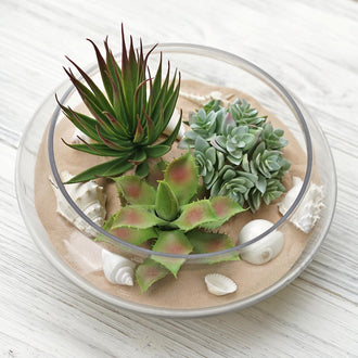 Succulents as a Perfect Tool for Your Last-Minute Arrangements