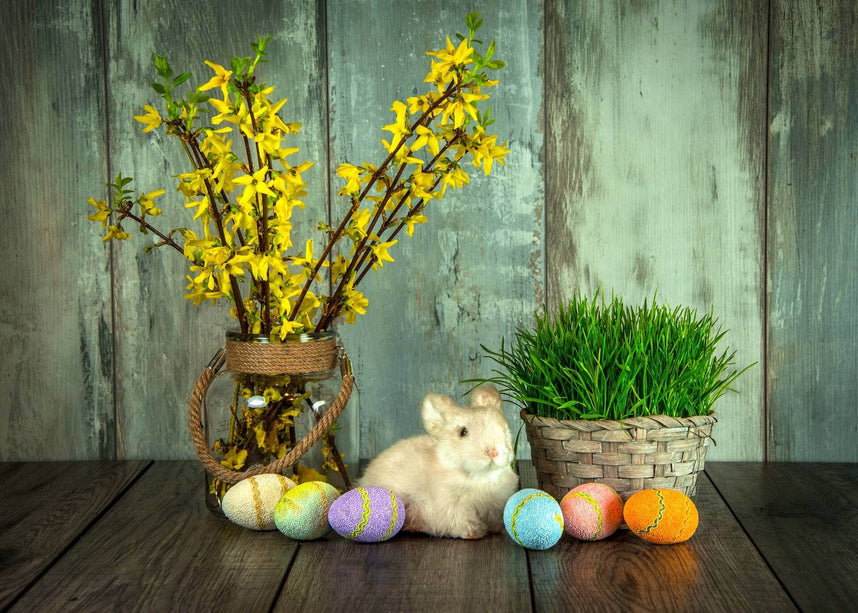 Eggstra Easy Indoor Easter Decoration Ideas!