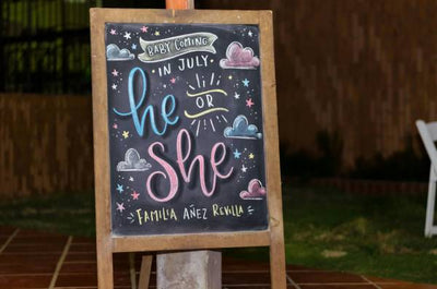 gender reveal themes