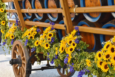 How Do You Use Sunflower Flower Arrangements?