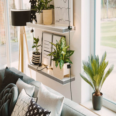 Summer living room decor with plants and patterned shelves