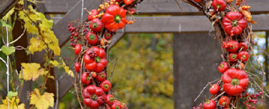 Show Your Appreciation This Year with These Creative Thanksgiving Decoration Ideas