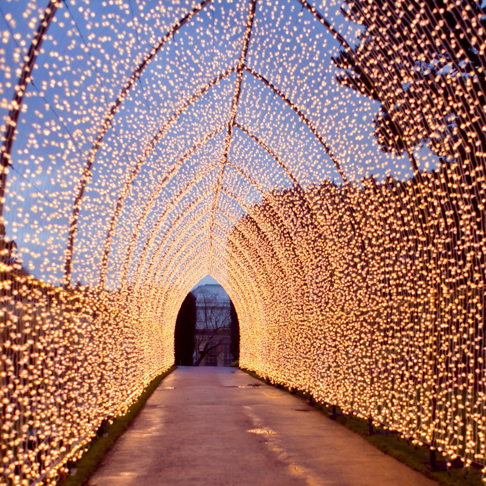 TableclothsFactory Curtain String Lights