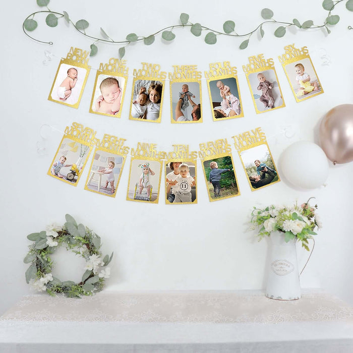 12 Month Milestone 1st Birthday Party Photo Backdrop Hanging Banner, Baby Photo Garland Banner