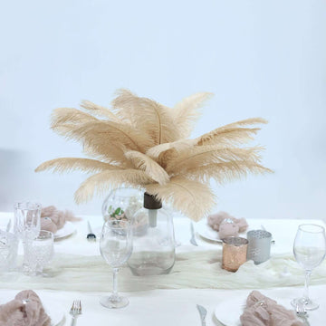 12 Pack 13"-15" Beige Natural Plume Real Ostrich Feathers, DIY Centerpiece Fillers