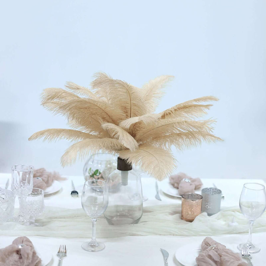 12 Pack | 13-15inch Beige Natural Plume Real Ostrich Feathers, DIY Centerpiece Fillers