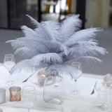 12 Pack | 13-15inch Dusty Blue Natural Plume Real Ostrich Feathers, DIY Centerpiece Fillers