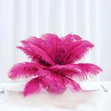 12 Pack | 13-15inch Fuchsia Natural Plume Real Ostrich Feathers, DIY Centerpiece Fillers