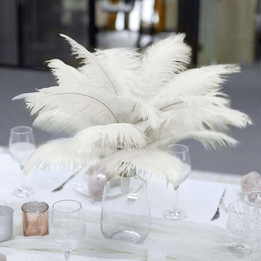 12 Pack | 13-15inch Ivory Natural Plume Real Ostrich Feathers, DIY Centerpiece Fillers