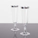 12 Pack Clear Disposable Champagne Flutes with Silver Rim, 5oz Transparent Plastic Toasting Cocktail