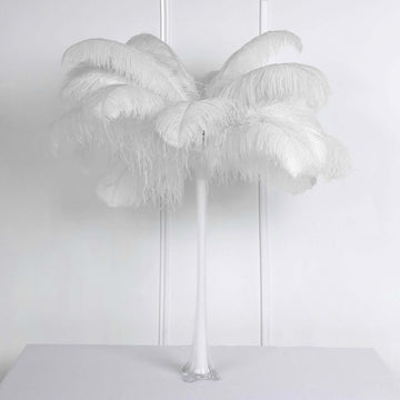 12 Pack White Natural Plume Ostrich Feathers Centerpiece Filler - 24"-26"