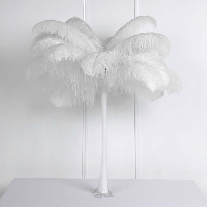 Set of 12 | 24"-26" White Natural Plume Ostrich Feathers Centerpiece