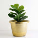 14inch Gold Shiny Finished Rim Large Barrel Planter Pot, Indoor/Outdoor Decorative Flower Pot