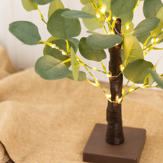 Elevate Your Space with Warm White Fairy Lights