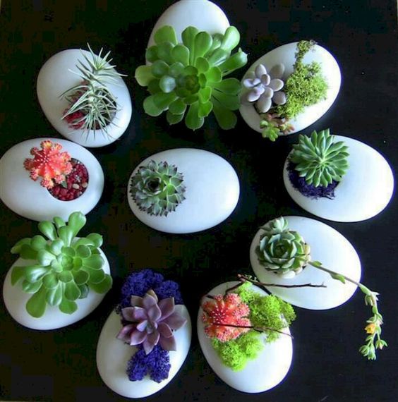 Eggs decorated with succulents and moss